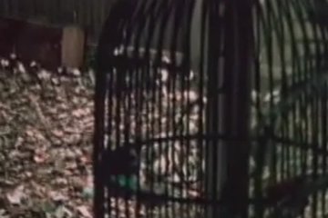 Она больше не может сдерживать себя в руках