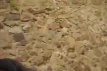 Брюнетка ради денег может сделать все