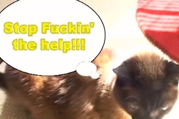 Девушка приходит к парню за сексом