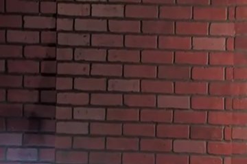 Тёлочки выцеловывают ножки и киски