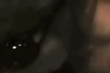 А она не против пососать