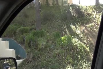 Мужик страстно трахает стройную латинку