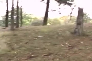 Делает себе приятно в парке