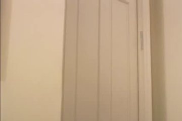 Две кобылки вскочили на одного жеребца