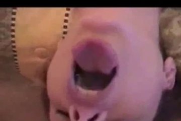 Телочка любит сперму