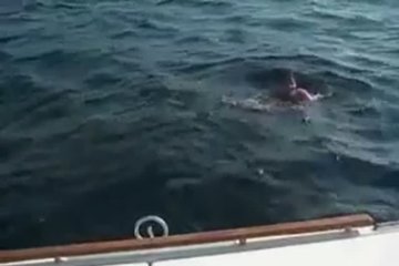 Жаркий трах посреди окена