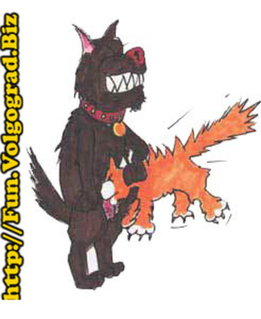 36
