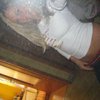 30