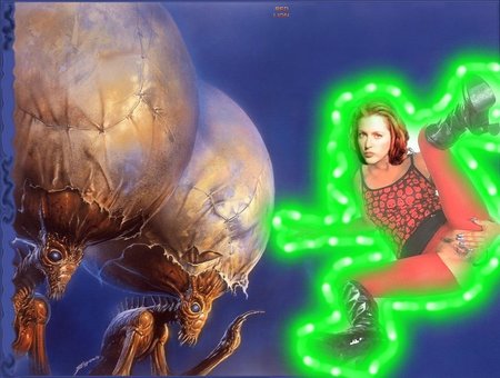 43