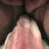 70