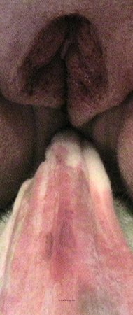 70